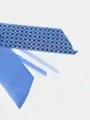 Бант-шар
