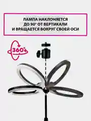 Светодиодная кольцевая лампа / цветная RGB селфи 26см/33см/36см/46см/56см, штатив 210 см