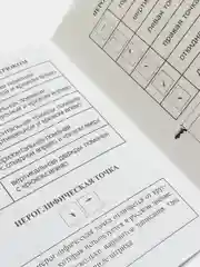 Тетрадь для записи китайских иероглифов