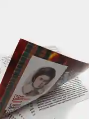 Плакаты "Герои ВОв 1941-1945 гг.": первый период войны (22.06.1941-18.11.1942 гг.)