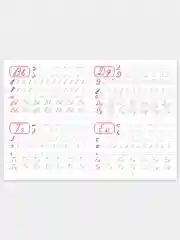 Каллиграфические прописи, А5, 3 штук