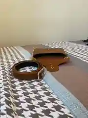 Поясная сумка и вечерняя