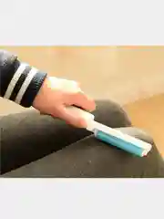 Ролик для чистки одежды