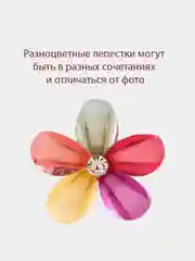 Конфетный заколка - краб мини для волос
