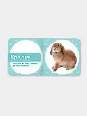 Книги на картоне "Мамы и детки+Мои домашние любимцы+Мои лесные друзья+На морской глубине"