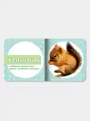 Книги на картоне "Мамы и детки+Мои домашние любимцы+Мои лесные друзья+На морской глубине"