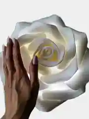 Белый ночник светодиодный роза
