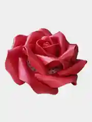 Белый ночник светодиодный роза