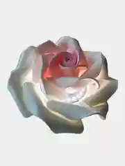 Белый ночник светодиодный роза