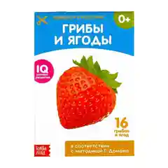 Обучающая книжка (карточки) по методике Г. Домана