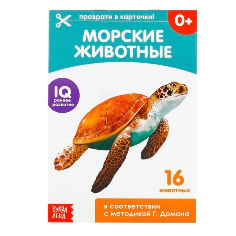 Обучающая книжка (карточки) по методике Г. Домана