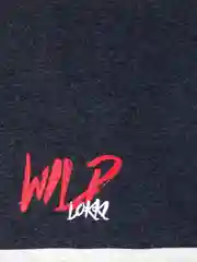 Угольный шапка для мальчика LOKKI, 2161-035, WILD lokki/Графит меланж
