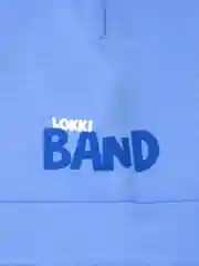 Голубой шапка для мальчика LOKKI, 2161-035, BAND