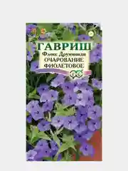 Цветы Флокс Друммонда "Очарование фиолетовое", семена, однолетник
