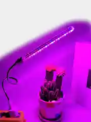 Фитолампа для растений, 10 Вт