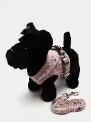 Хаки шлейка для собак мелких пород, кошек и животных с поводком анатомическая прогулочная