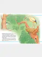 Книга для детей Мои любимые сказки. Сборник зарубежных сказок