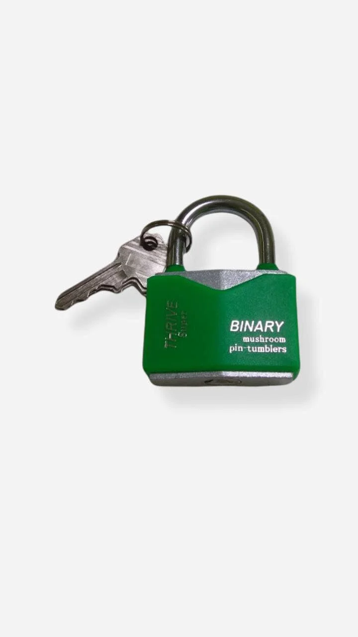 Зеленый замок навесной влагозащищенный с защитой от отмычек Binary 50 мм