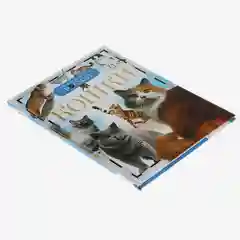 Детская энциклопедия "Кошки"