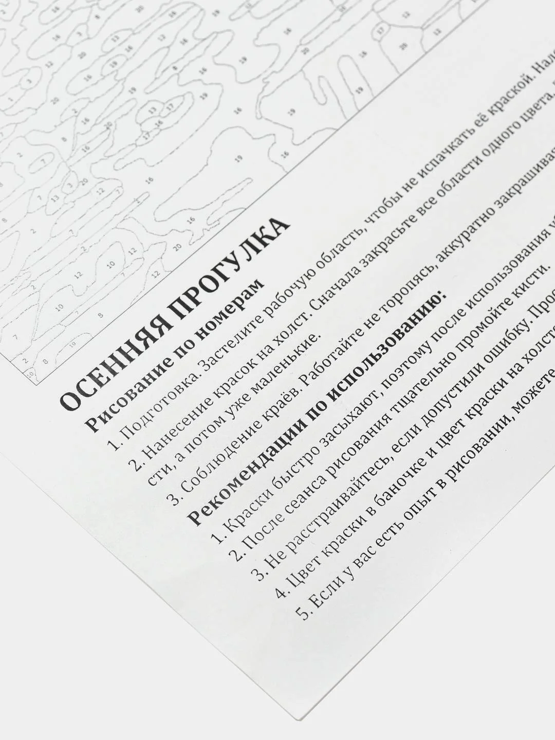 Картина по номерам на холсте с подрамником 50х40 см "Свободный полёт"