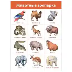 Комплект плакатов. Живая природа Дрофа-Медиа