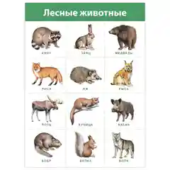 Комплект плакатов. Живая природа Дрофа-Медиа