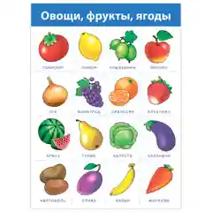 Комплект плакатов. Живая природа Дрофа-Медиа