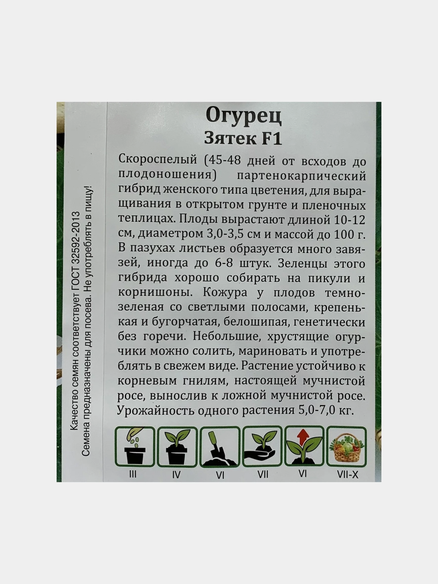 Семена Огурец "Зятек"