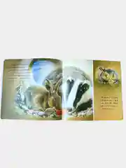 Книга с картинками "Дружба" о приключениях животных на китайском языке
