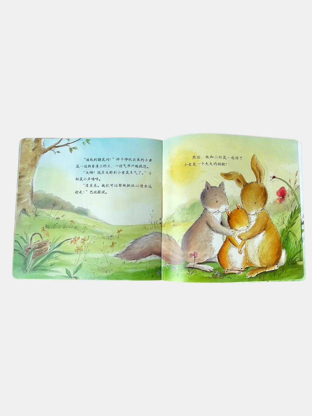 Книга с картинками "Дружба" о приключениях животных на китайском языке