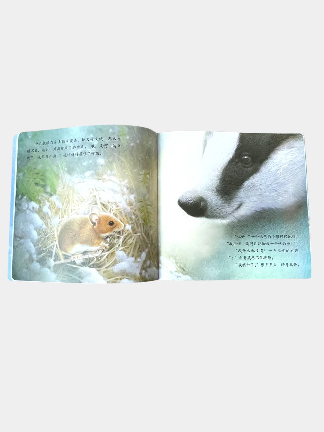 Книга с картинками "Дружба" о приключениях животных на китайском языке