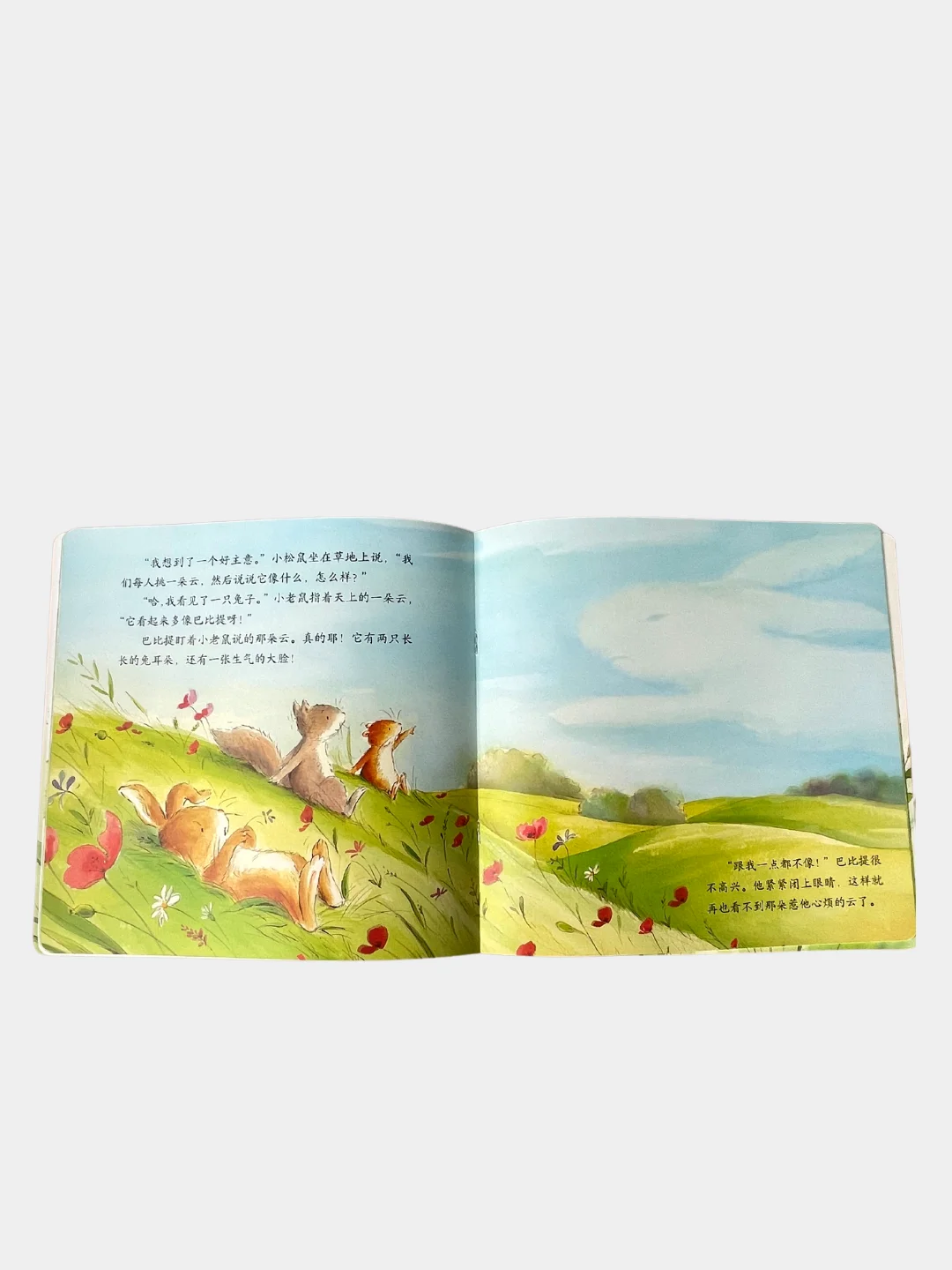 Книга с картинками "Дружба" о приключениях животных на китайском языке