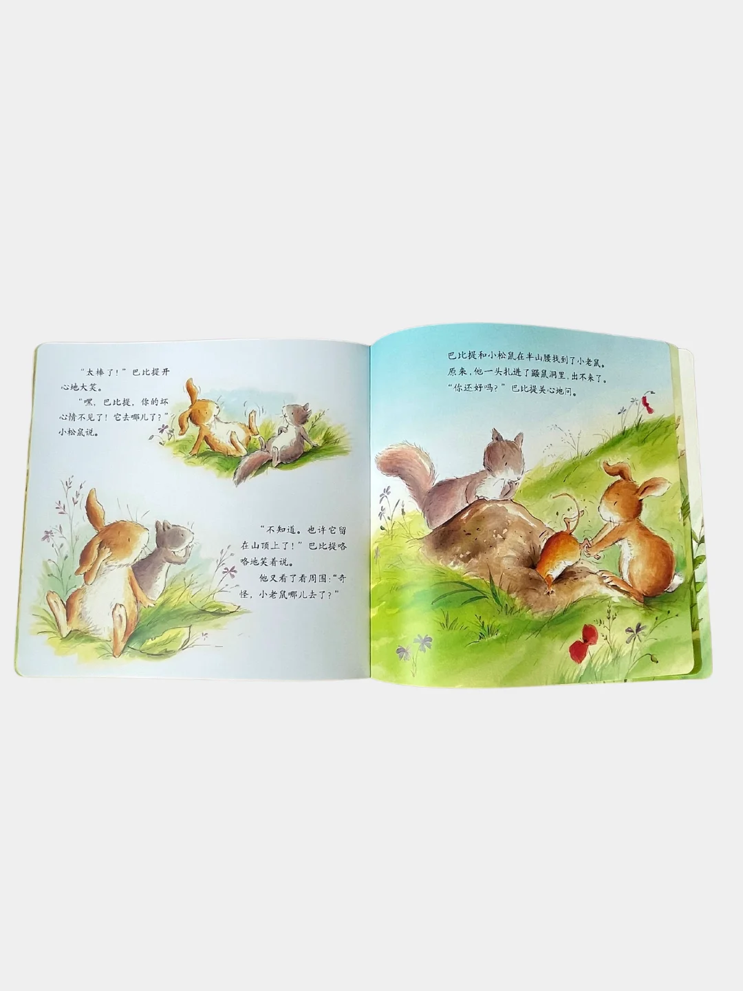 Книга с картинками "Дружба" о приключениях животных на китайском языке
