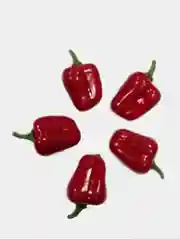 Терракотовый искусственные фрукты и овощи. Размер 4 см. Упаковка 10 штук