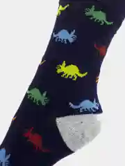 Носки для мальчика с динозаврами