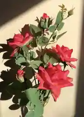 Коралловый искусственные цветы Роза большая ветка