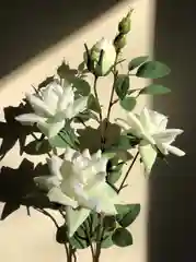 Белый искусственные цветы Роза большая ветка