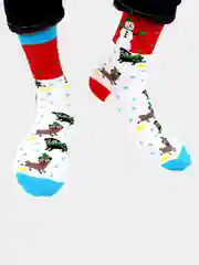 Носки Kingkit "Dont eat snow"