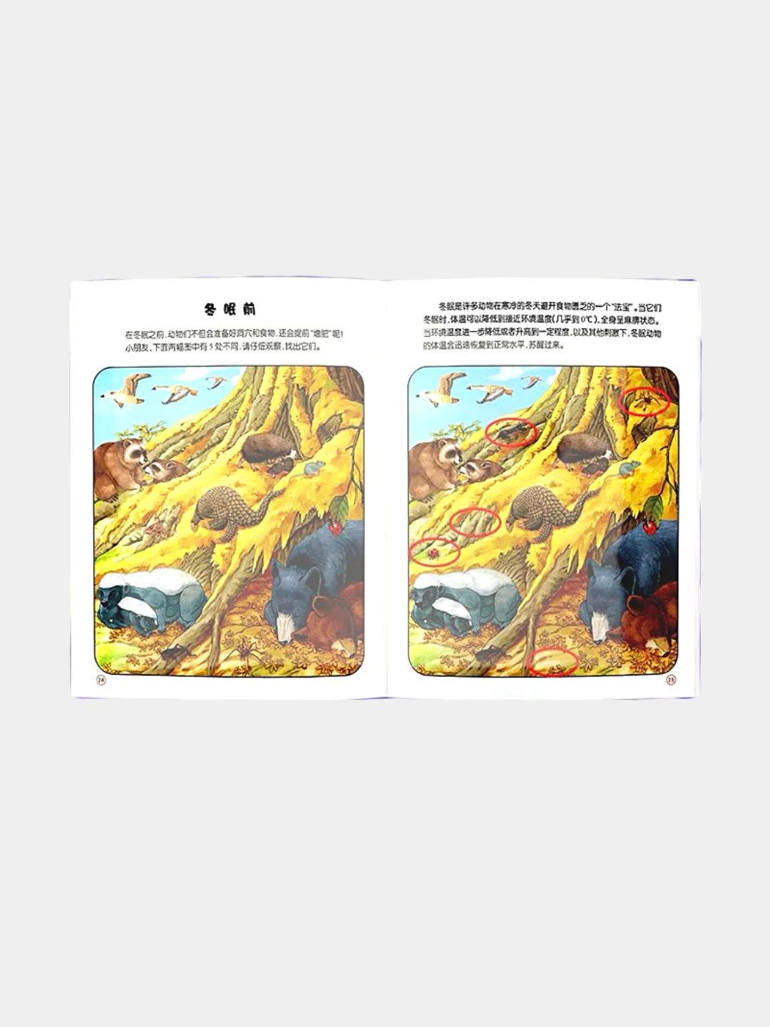 Книга "Найди отличия" на китайском языке