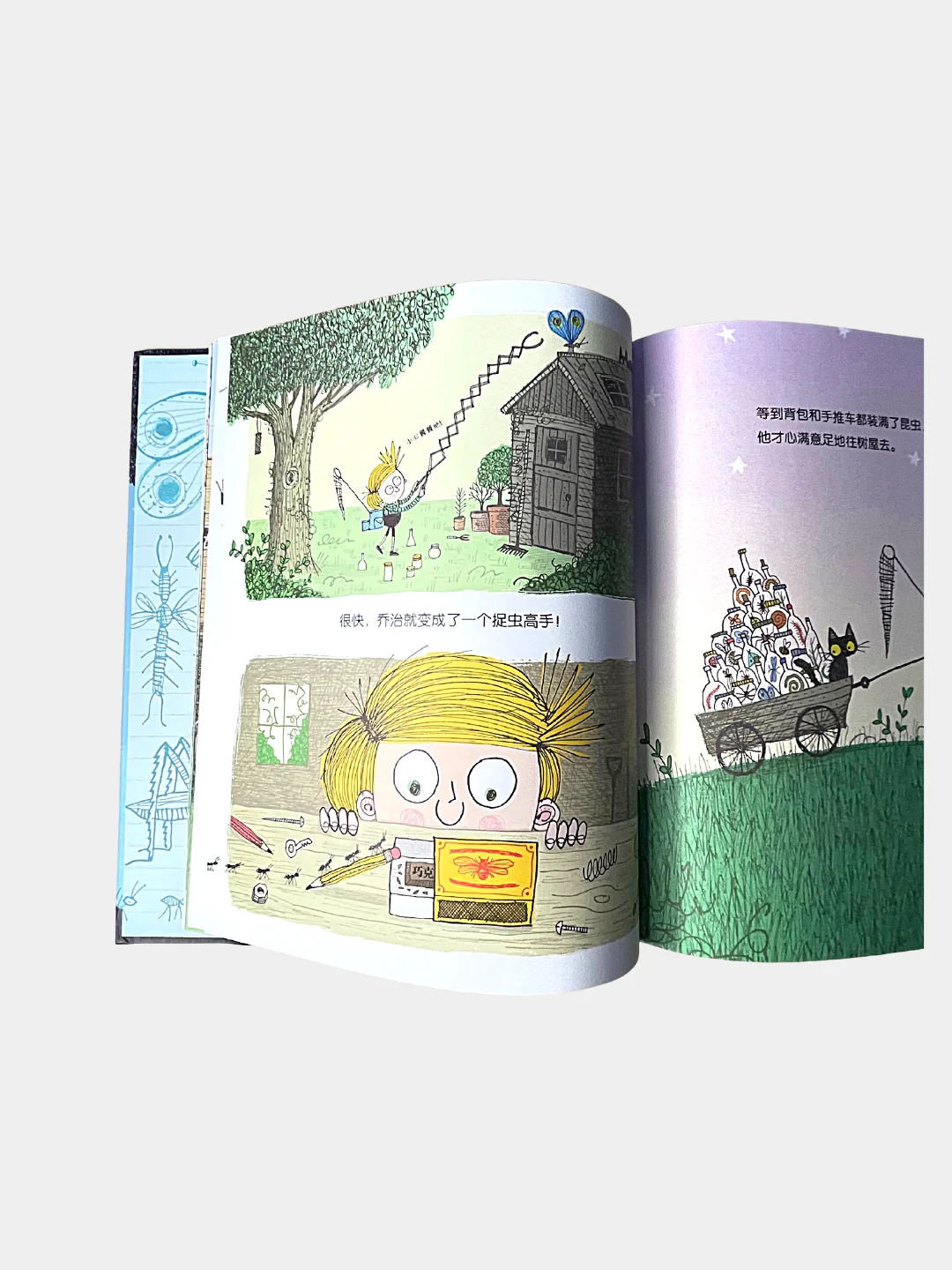 Книга "The Bug Collector" на китайском языке