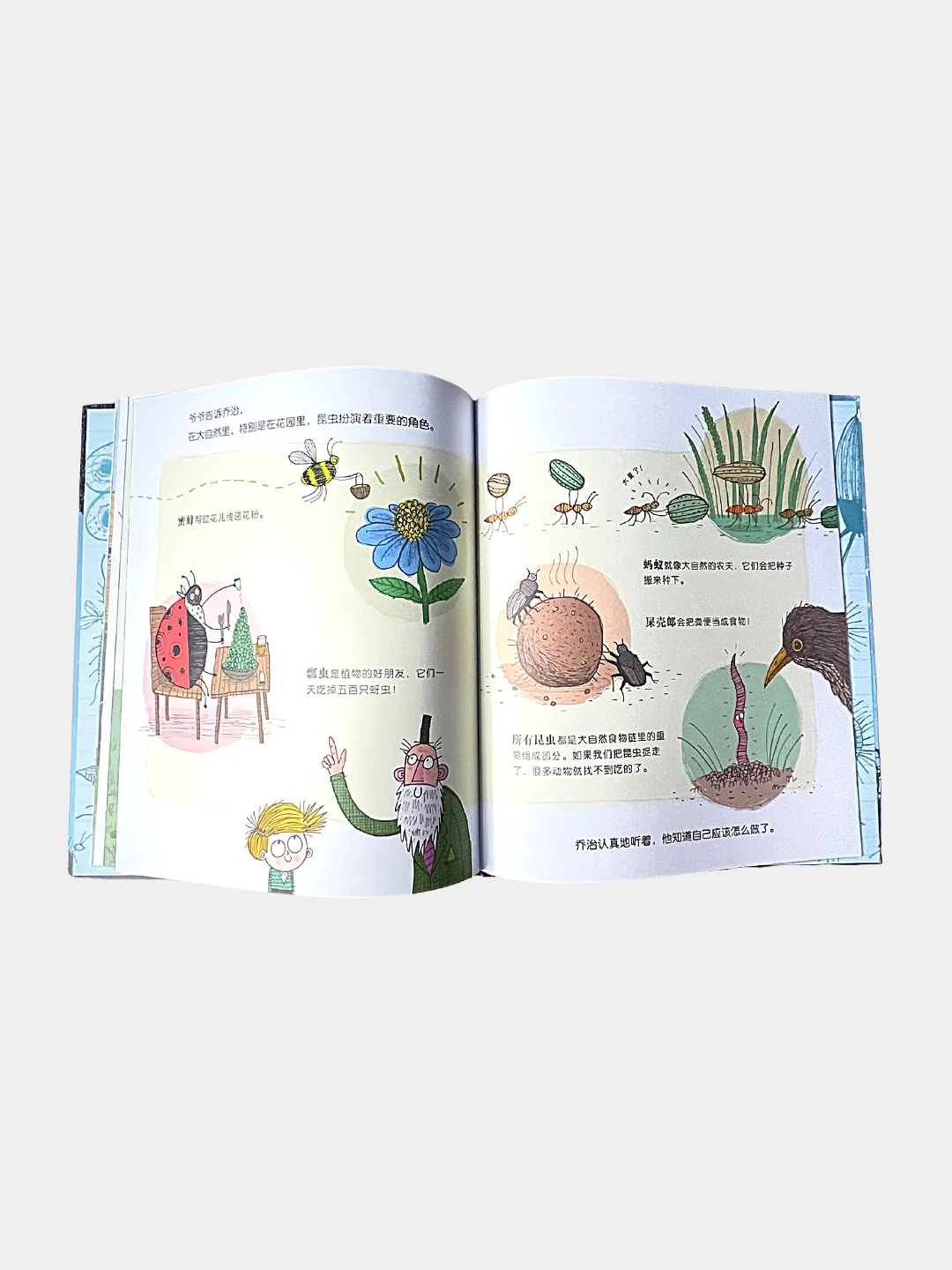 Книга "The Bug Collector" на китайском языке