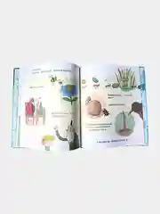 Книга "The Bug Collector" на китайском языке