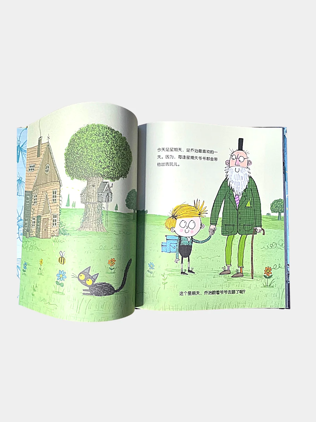 Книга "The Bug Collector" на китайском языке