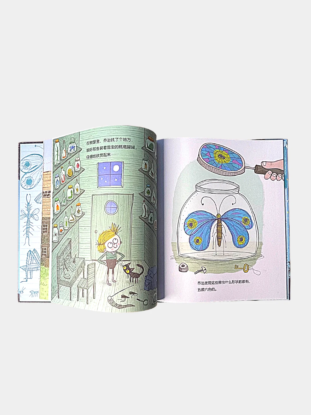 Книга "The Bug Collector" на китайском языке