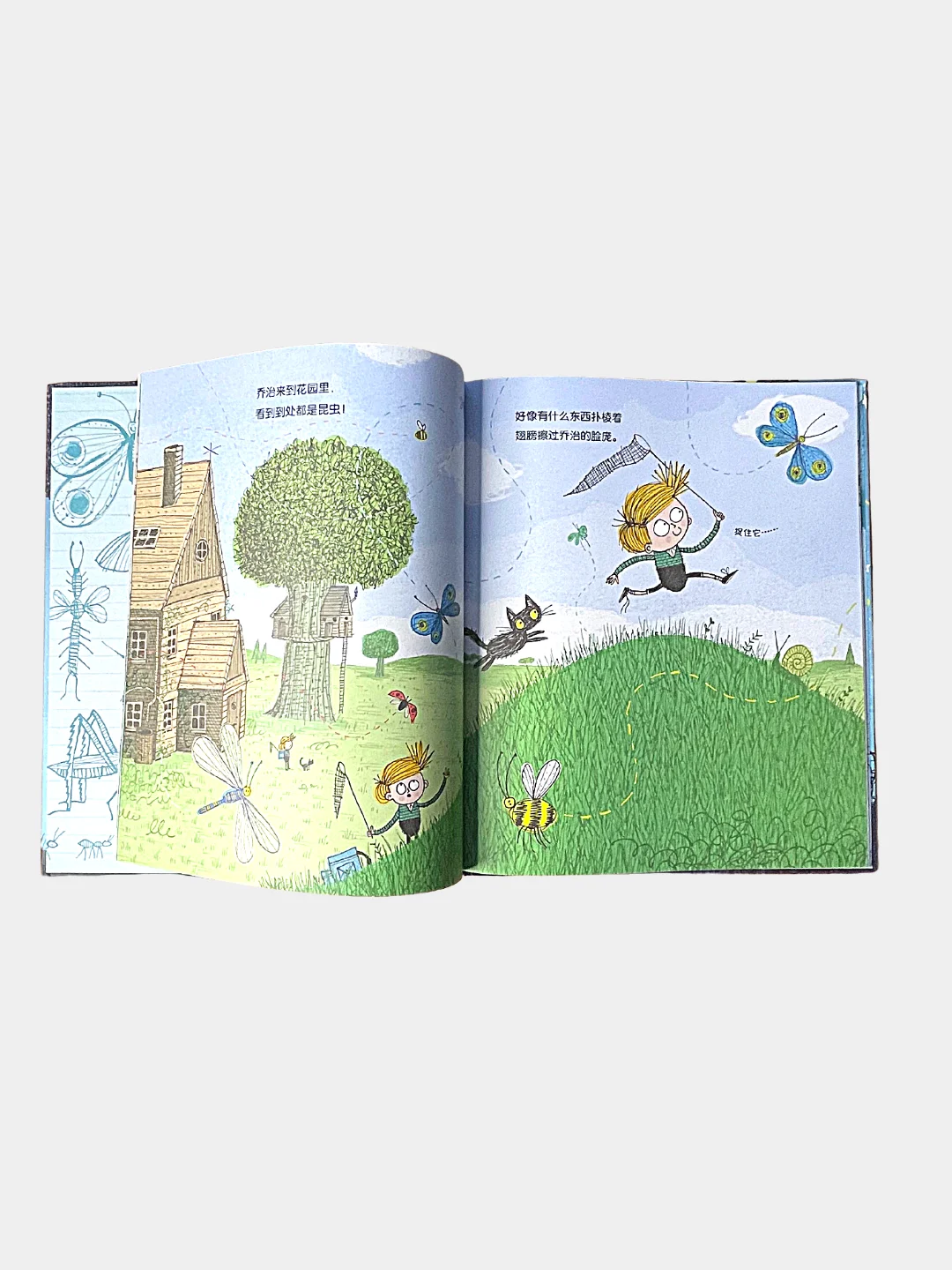 Книга "The Bug Collector" на китайском языке