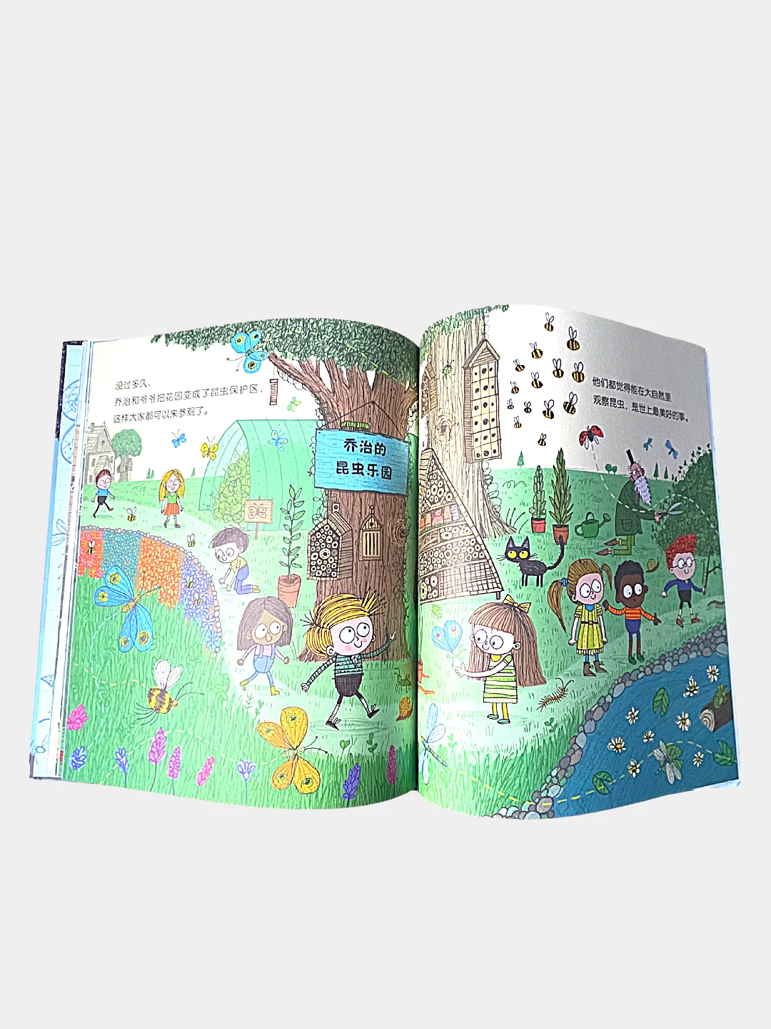 Книга "The Bug Collector" на китайском языке