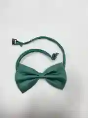 Зеленый бабочка для собак и кошек