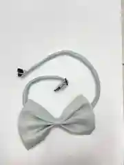 Серый бабочка для собак и кошек