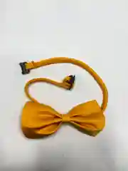 Манго бабочка для собак и кошек