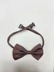 Коричневый бабочка для собак и кошек